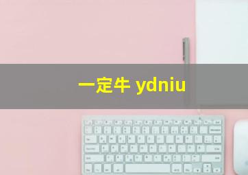 一定牛 ydniu